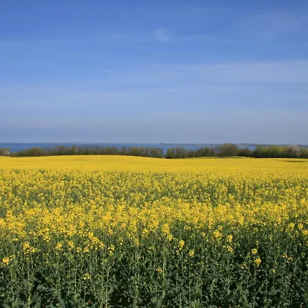 Appartement In Mit Garten Klutz